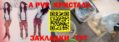 крисы Ставрополь