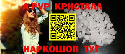 шишки Тверь